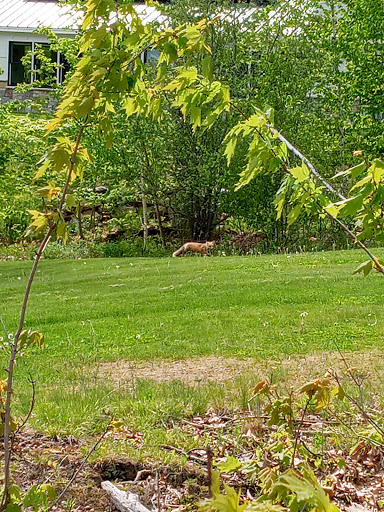 Golf Course «Toddy Brook Golf Course», reviews and photos, 925 Sligo Rd, North Yarmouth, ME 04097, USA