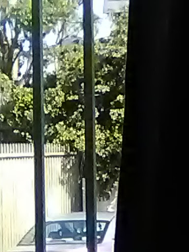 Cell Phone Store «AT&T Authorized Retailer», reviews and photos, 23639 Calabasas Rd, Calabasas, CA 91302, USA