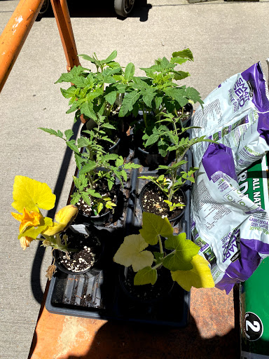 Home Improvement Store «The Home Depot», reviews and photos, 1601 13th Ave E, Tuscaloosa, AL 35404, USA