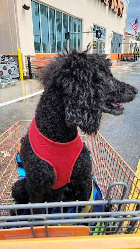 Home Improvement Store «The Home Depot», reviews and photos, 11001 Pines Blvd, Pembroke Pines, FL 33026, USA