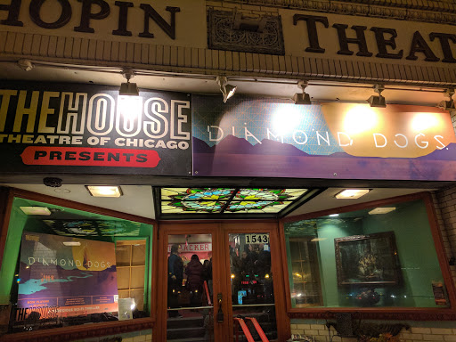 Performing Arts Group «Chopin Theatre», reviews and photos, 1543 W Division St, Chicago, IL 60642, USA