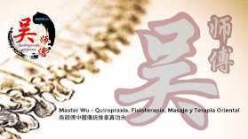 Master Wu - Quiropraxia, Fisioterapia, Masaje y Terapia Oriental