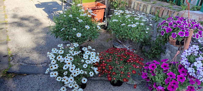 Garden Center Via Campi Flegrei, 18A, 80078 Pozzuoli NA, Italia