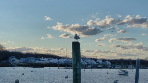 Grocery Store «Brant Rock Market», reviews and photos, 24 Dyke Rd, Marshfield, MA 02050, USA