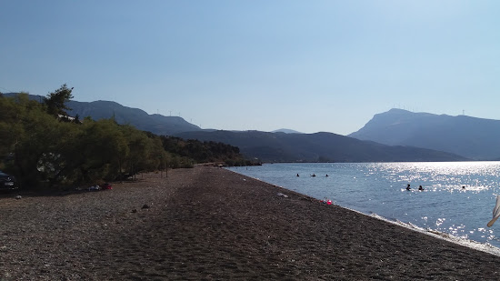 Spiaggia Dariza Metamorfosis