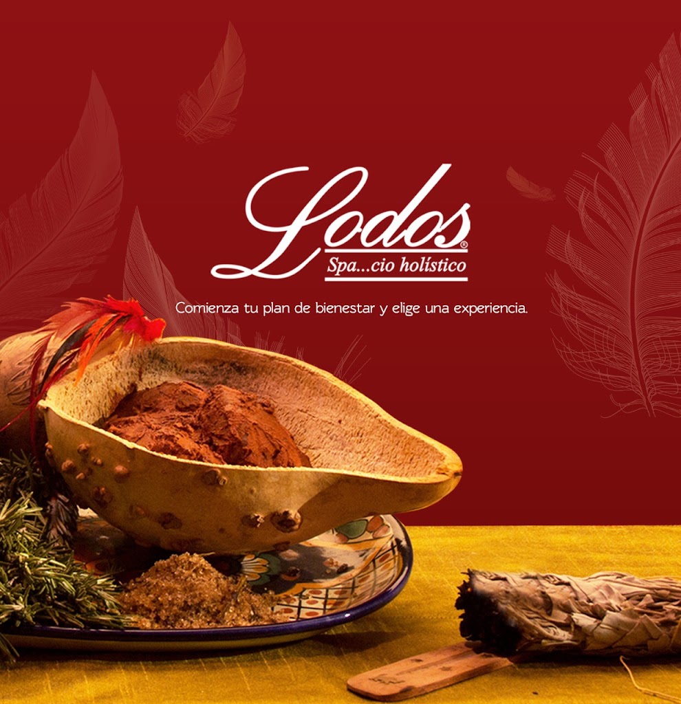 Lodos Spa 91902