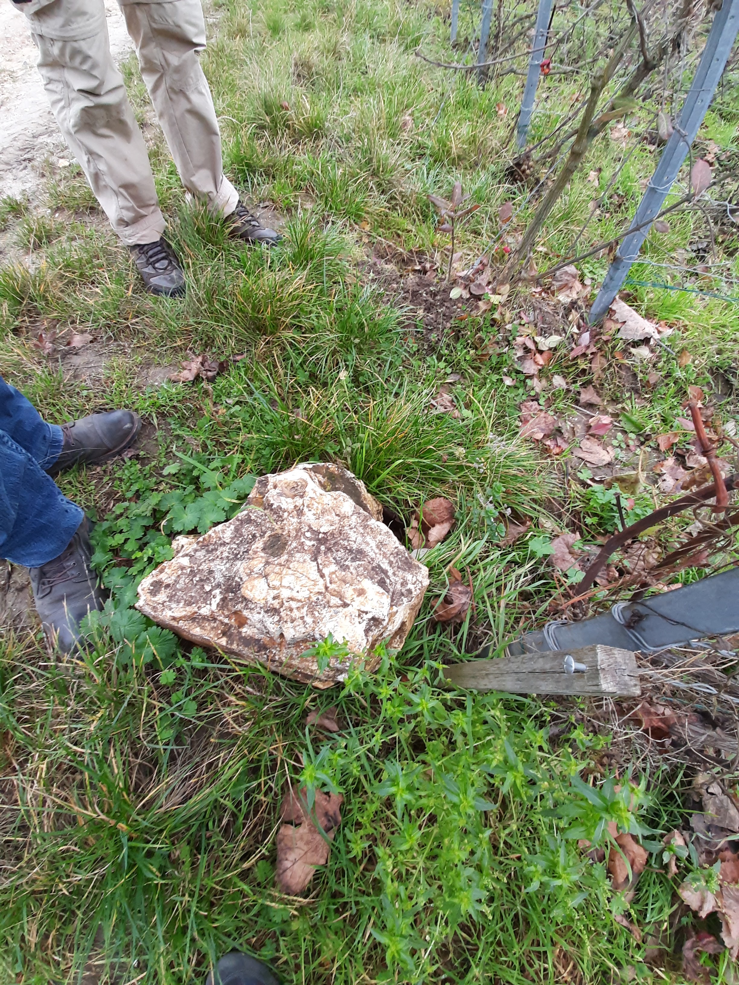 Photo n° 42 de l'avis de Stefano.a fait le 15/11/2021 à 18:24