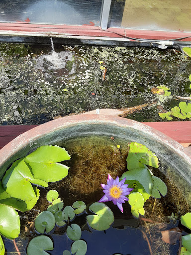 Pet Store «Fish-N-Pets Unlimited», reviews and photos, 11710 Bissonnet St, Houston, TX 77099, USA