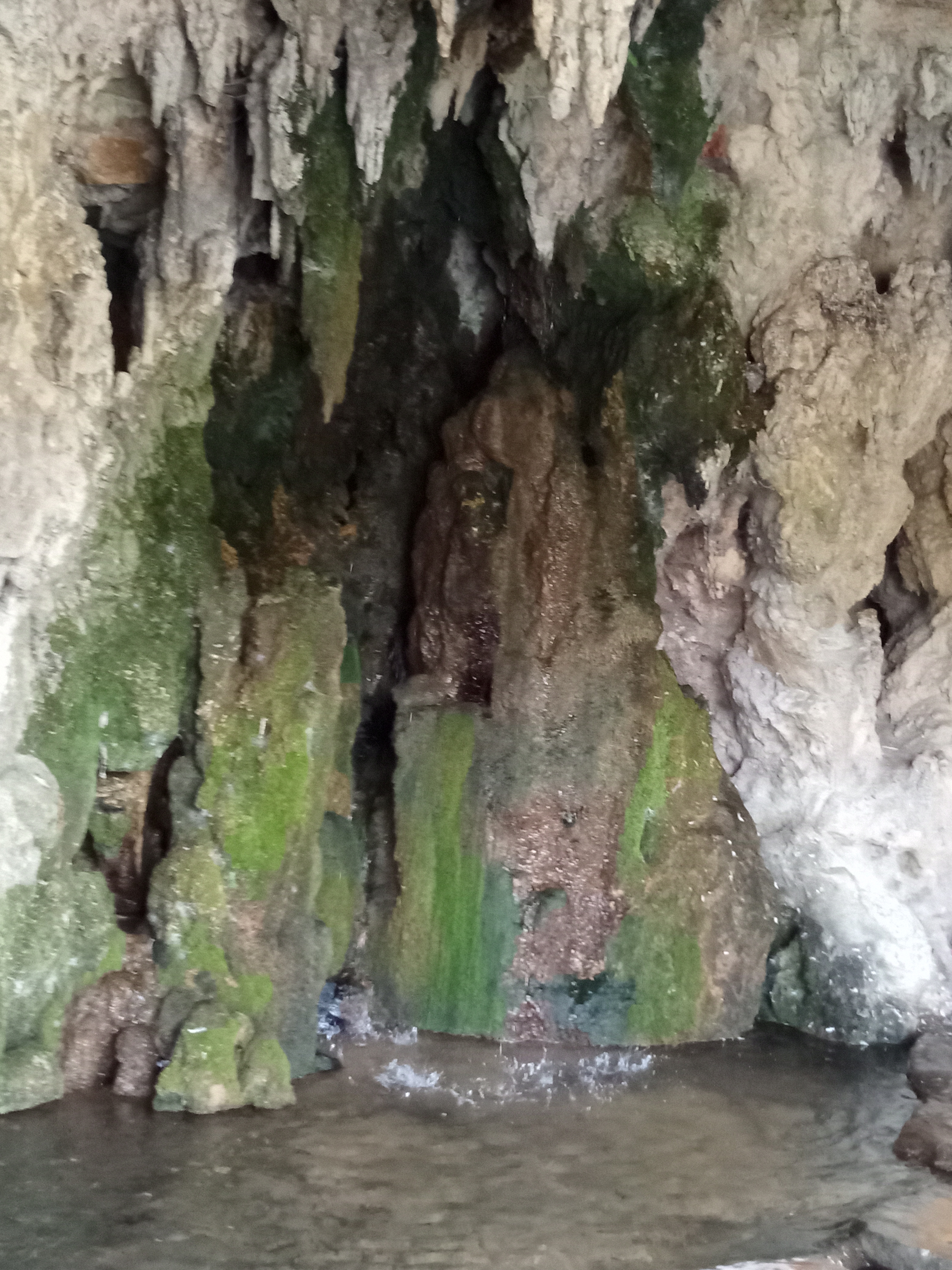 Photo n° 1 de l'avis de Etoile.e fait le 31/08/2020 à 06:33