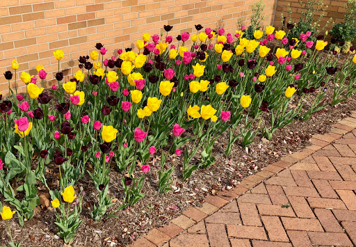 Cultural Center «Minnetrista», reviews and photos, 1200 N Minnetrista Pkwy, Muncie, IN 47303, USA