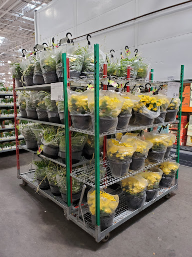 Warehouse store «Costco Wholesale», reviews and photos, 218 Lower Mountain View Dr, Colchester, VT 05446, USA