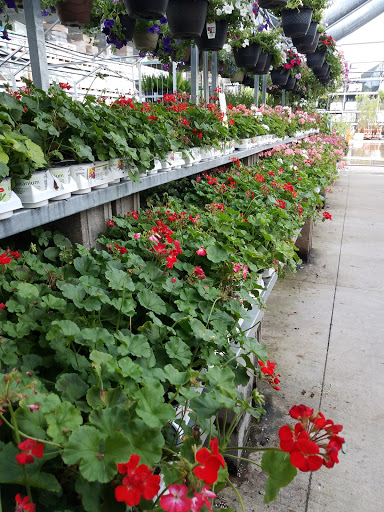 Home Improvement Store «The Home Depot», reviews and photos, 390 THF Blvd, Chesterfield, MO 63005, USA