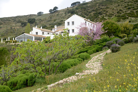 OASIS DE MARIPOSAS 
