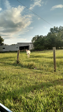 Rick's Performance Equine Supply - Photo 9 - Car repair in Ocala, FL, Ocala