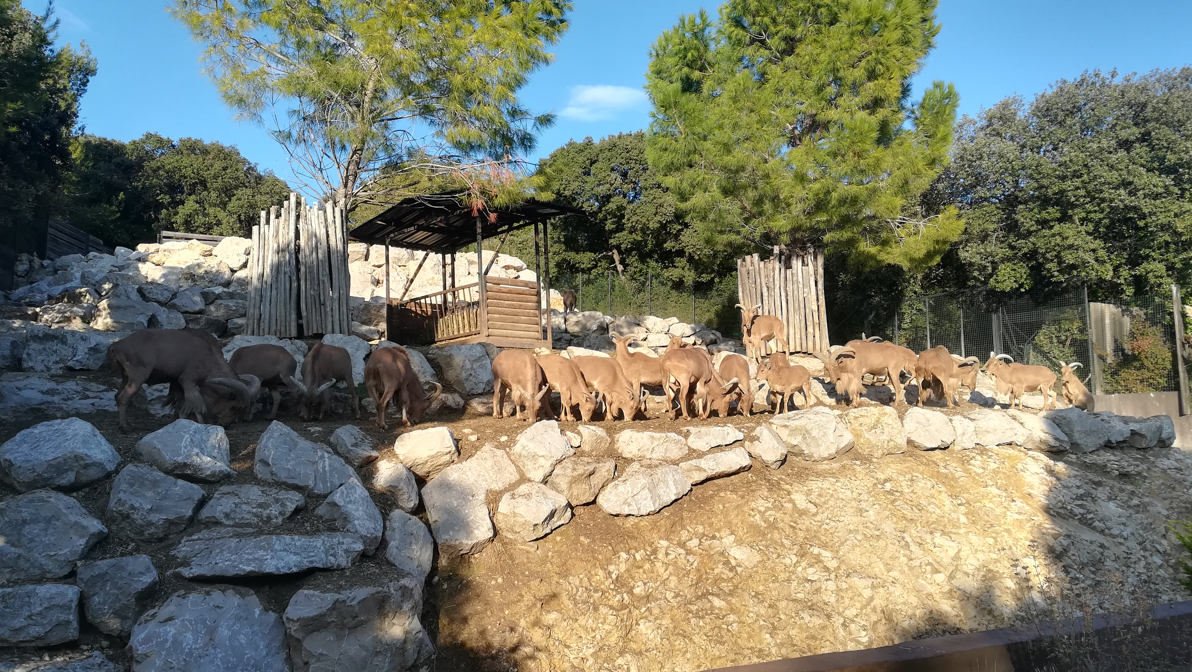 Photo n° 44 de l'avis de andre.a fait le 08/11/2021 à 14:35