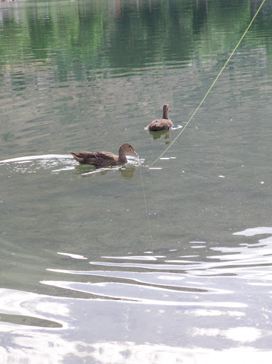 Park «Manila Creek Park», reviews and photos, 706 W 3300 N, Pleasant Grove, UT 84062, USA