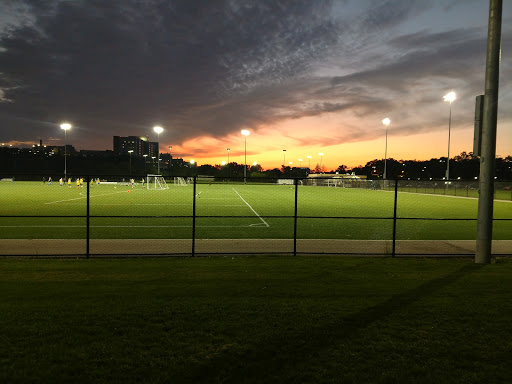 Athletic field Ann Arbor