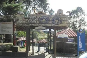 UCS Zoo image