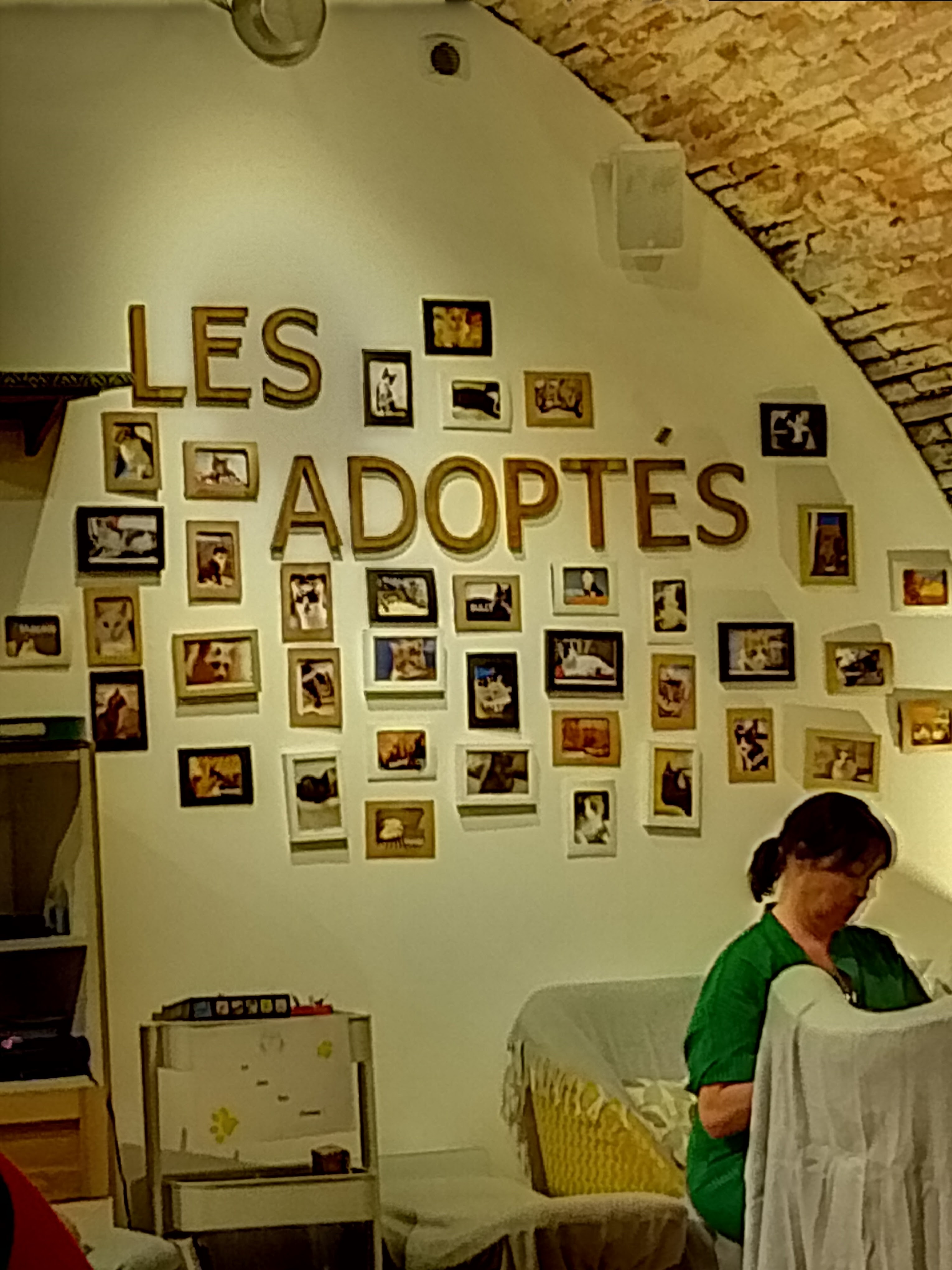 Photo n° 9 de l'avis de Laure.l fait le 19/08/2023 à 17:39