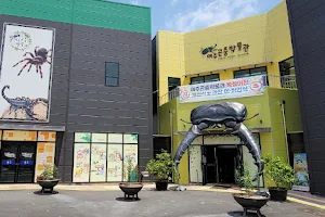 Yeoju Insect Museum image