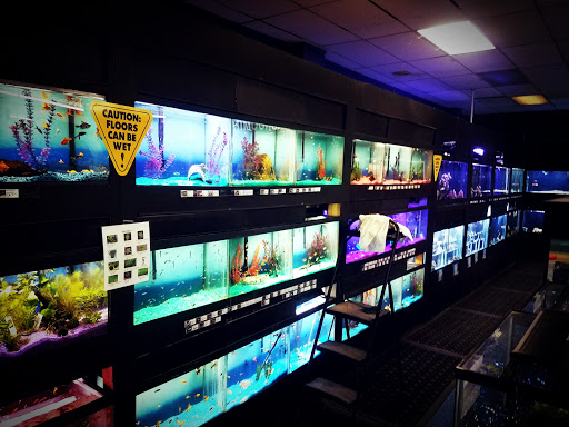 Pet Store «safari pets», reviews and photos, 808 W Main St, Cabot, AR 72023, USA