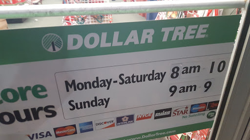 Dollar Store «Dollar Tree», reviews and photos, 4912 S Baldwin Rd, Orion Charter Township, MI 48359, USA