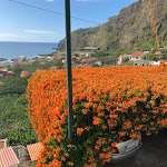 Photo n°6 de l'avis de L. fait le 09/01/2022 à 19:52 sur le  1905 Zinos Palace à Ponta do Sol