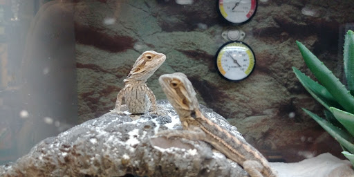 Pet Supply Store «Petco Animal Supplies», reviews and photos, 513 S Mason Rd, Katy, TX 77450, USA