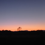 Photo n°4 de l'avis de ettore.l fait le 31/07/2022 à 19:50 sur le  Trattoria alla Baracca à Vicenza