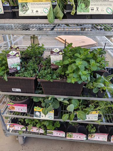 Home Improvement Store «The Home Depot», reviews and photos, 3700 NJ-35, Hazlet, NJ 07730, USA