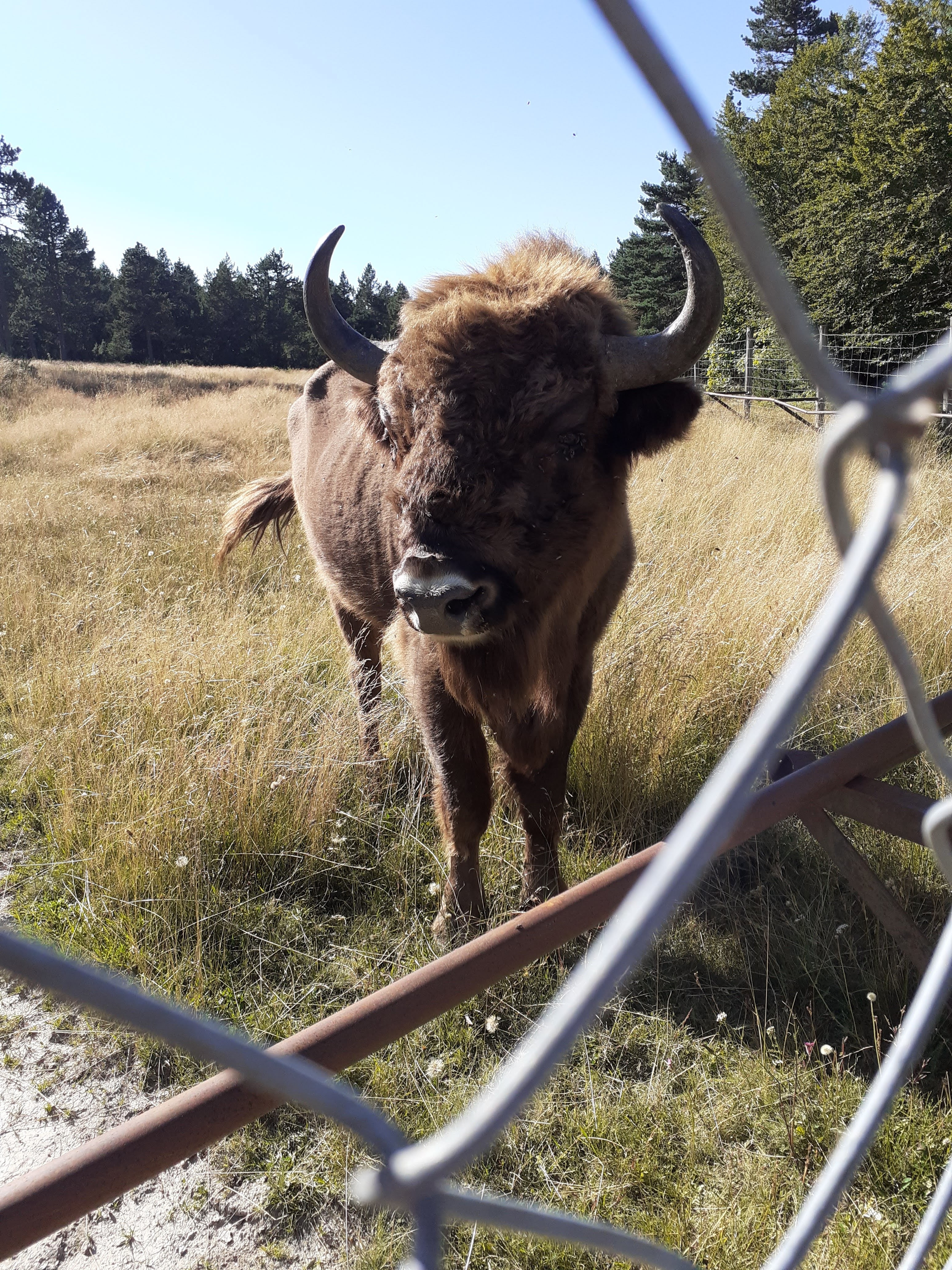 Photo n° 2 de l'avis de Pierre.h fait le 15/08/2023 à 12:20