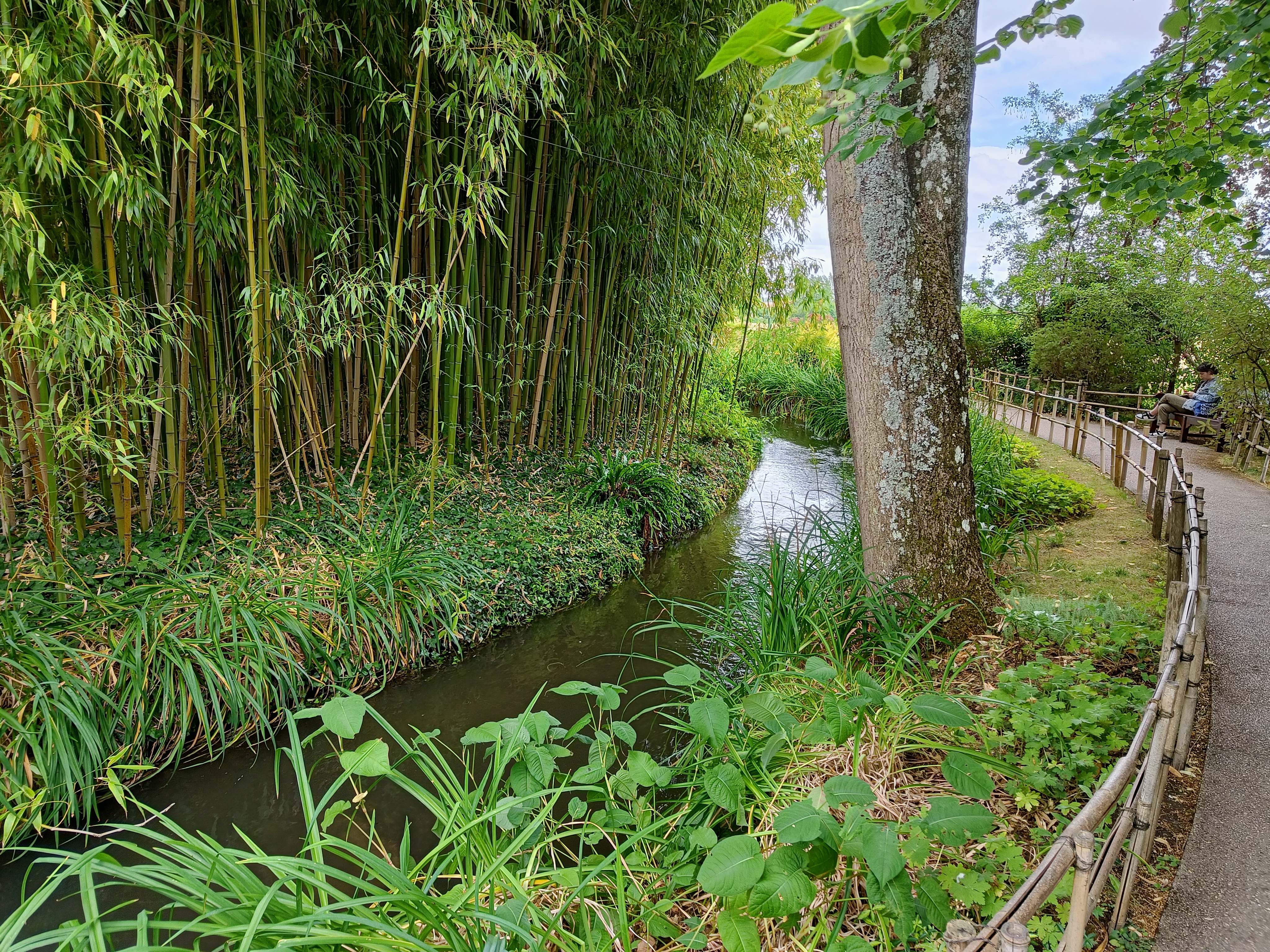 Photo n° 7 de l'avis de Mathéo.a fait le 07/07/2023 à 08:27