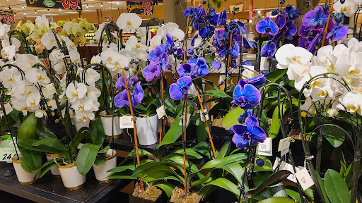 Supermarket «Wegmans», reviews and photos, 3177 Latta Rd, Rochester, NY 14612, USA