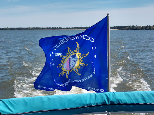 National Forest «Francis Marion National Forest», reviews and photos, 2967 Steed Creek Rd, Huger, SC 29450, USA