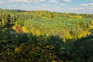 Dauginčiai Outcrop image