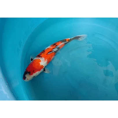 Jakarta Koi Center