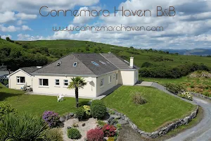 Connemara Haven Guesthouse B&B image