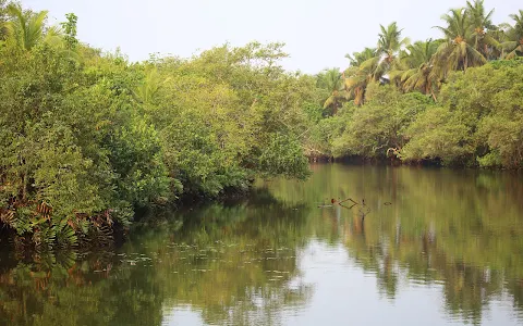 Koovode check Dam image