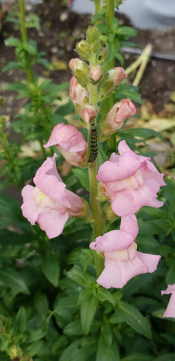 Farm «Langwater Farm», reviews and photos, 209 Washington St, North Easton, MA 02356, USA