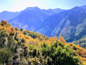 Santuario de la naturaleza Alto Huemul