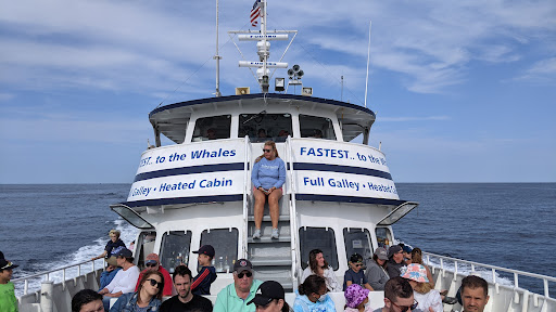 Whale Watching Tour Agency «Cape Ann Whale Watch», reviews and photos, 415 Main St, Gloucester, MA 01930, USA