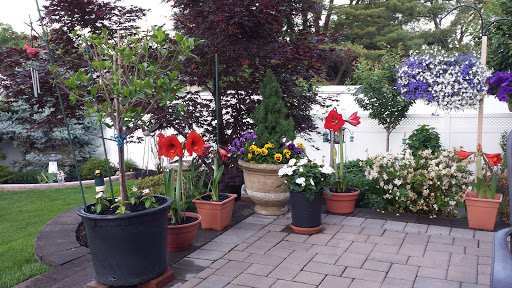 Golf Club «Baltusrol Golf Club», reviews and photos, 201 Shunpike Rd, Springfield Township, NJ 07081, USA