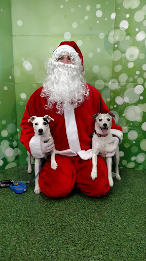 Pet Supply Store «Petco Animal Supplies», reviews and photos, 1970 S Robert St, West St Paul, MN 55118, USA