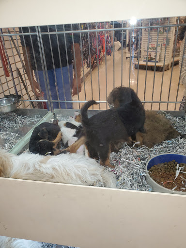 Pet Store «Back To Nature Pets & Grooming», reviews and photos, 110 N Dupont Hwy, New Castle, DE 19720, USA