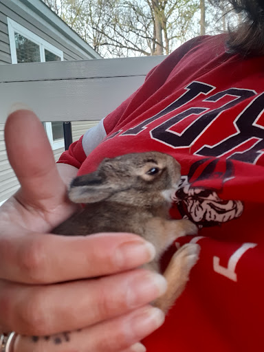 Pet Supply Store «Petsense Rome», reviews and photos, 2511 Redmond Cir, Rome, GA 30165, USA