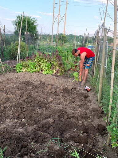 West Side Community Gardens image 1