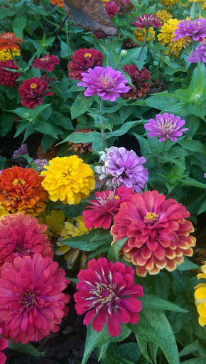 Cemetery «Oakland Cemetery», reviews and photos, 248 Oakland Ave SE, Atlanta, GA 30312, USA