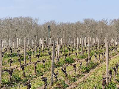 Château Duplessis à Moulis-en-Médoc