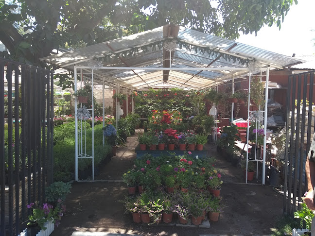 Opiniones de Vivero Jardin Aida en San Bernardo - Centro de jardinería