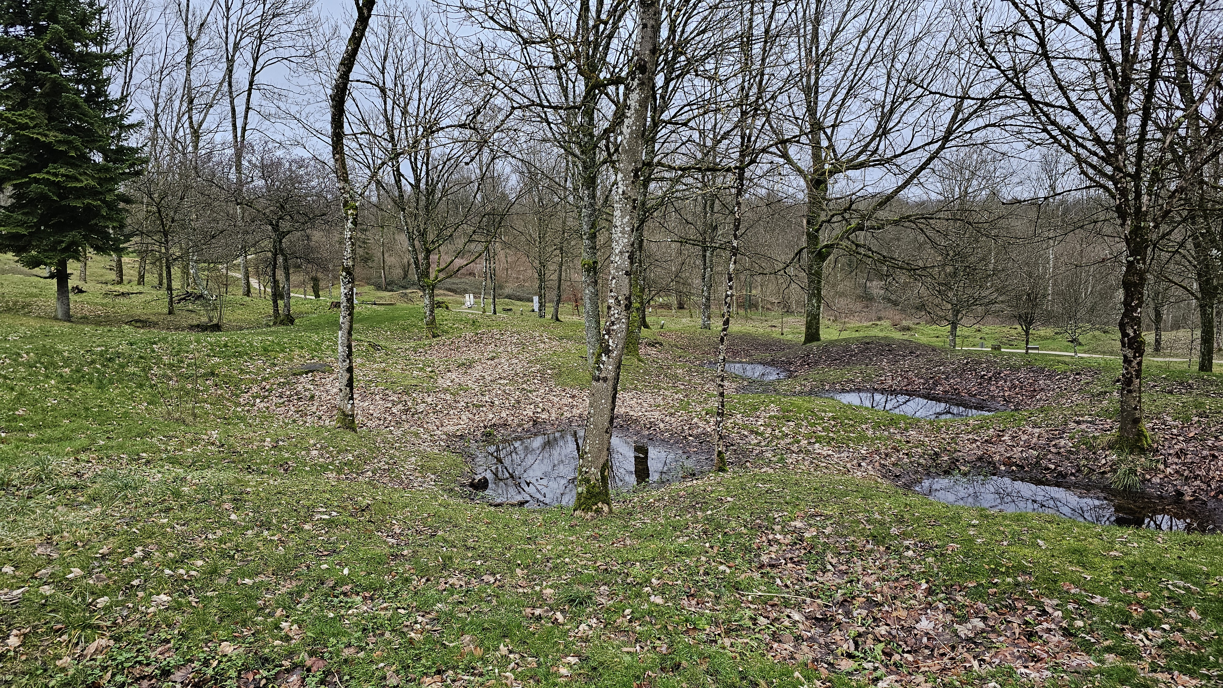 Photo n° 2 de l'avis de Sysy.o fait le 30/12/2023 à 18:46